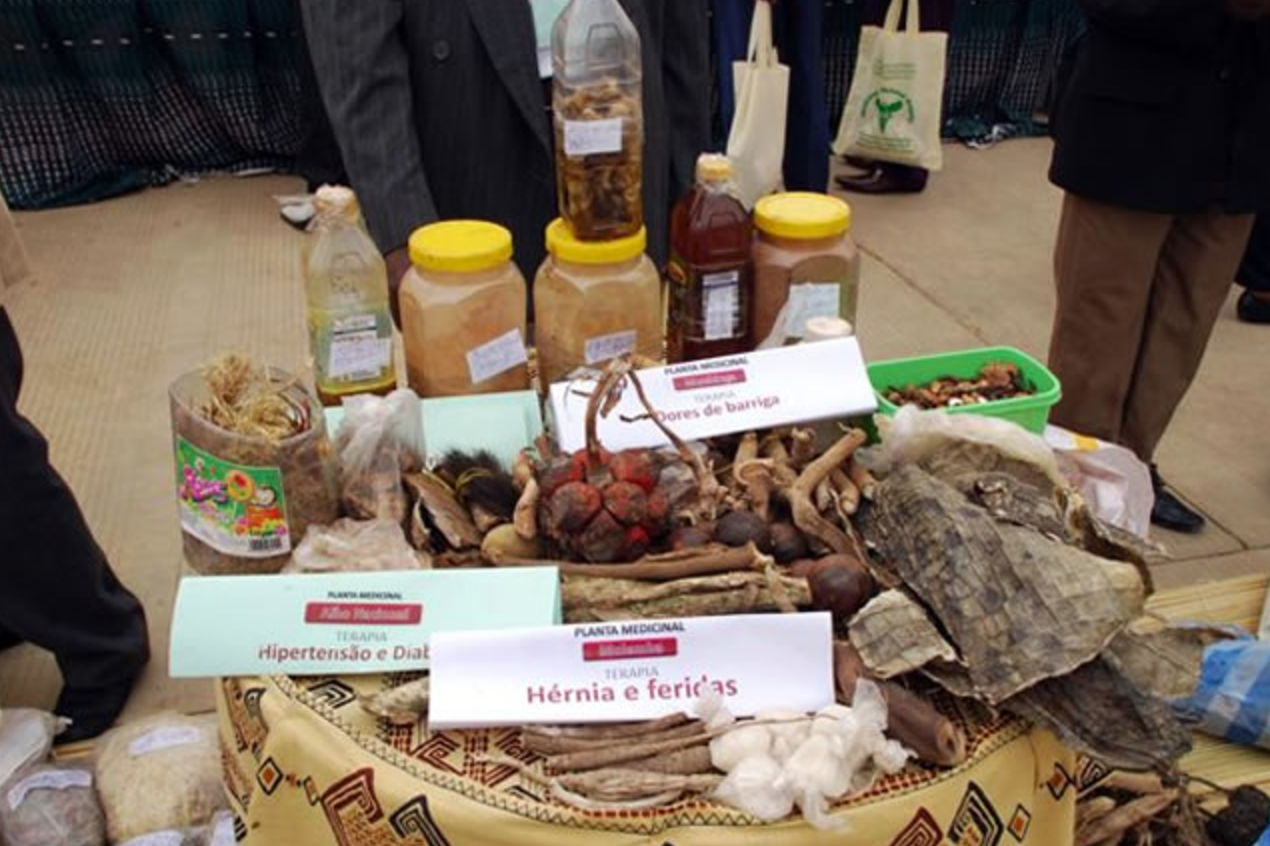 african-traditional-medicine-day-2012-who-regional-office-for-africa